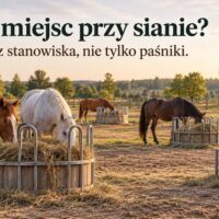 Konie jedzące siano przy kilku paśnikach z dodatkowym wolnym miejscem – ilustracja AI